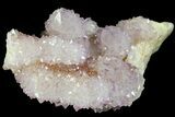 Cactus Quartz (Amethyst) Crystal Cluster - South Africa #180724-1